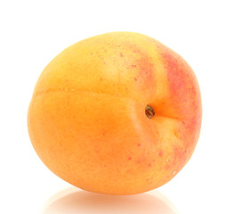 ripe sweet apricot isolated on white