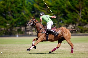 Fotobehang joueur de polo à cheval © DreanA