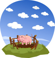 Pig © yaroshy