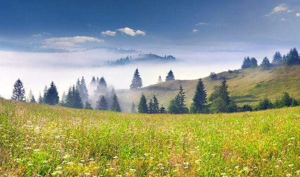 Beautiful summer landscape in the mountains