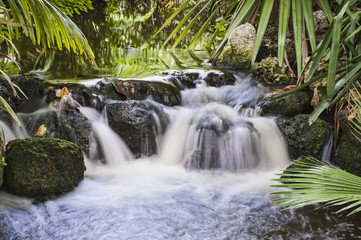 Fototapeta premium Waterfall in Tropical Stream