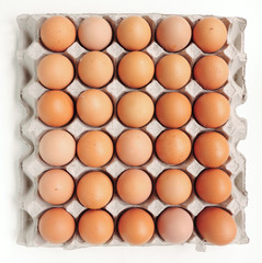 Eggs in Carton