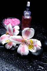 Naklejka na ściany i meble orchid and candles and stones with massage oil