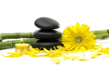 stack stones in balance and sunflower with candle on grove