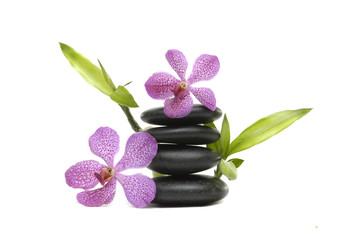 orchid flower and balanced stones and lucky bamboo