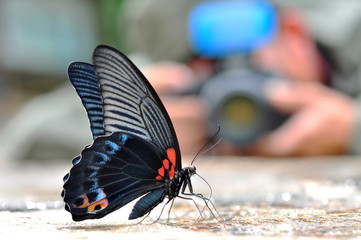Fototapete bei efototapeten.de bestellen   