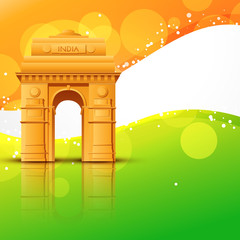 Fototapeta premium vector india gate