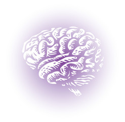 whole human brain isolated - illustration