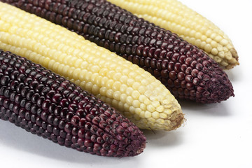 Purple Corns Steamed