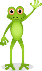 funny frog cartoon
