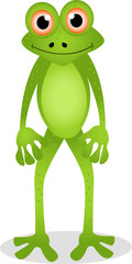 funny frog cartoon