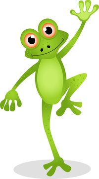 Funny Frog Cartoon