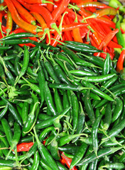 Two type of Goat peppers or chili in the market