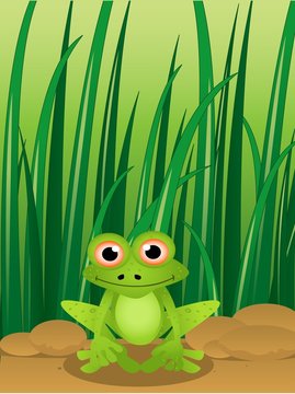 funny frog on grass background