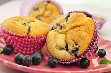Muffins