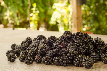 More selvatiche, blackberries