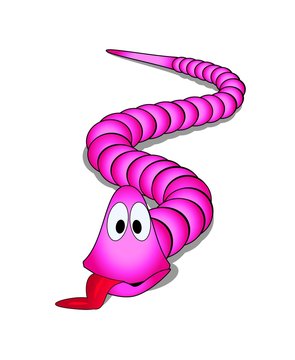 Pink worm
