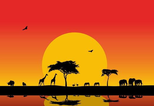 beautiful silhouette of animal wildlife with sunset background