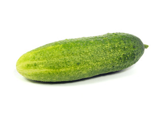 fresh cucumber