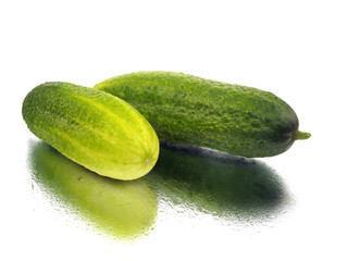 fresh cucumber