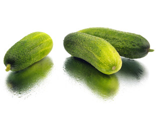 fresh cucumber