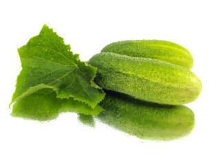 fresh cucumber