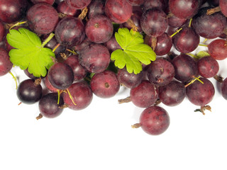 Gooseberries