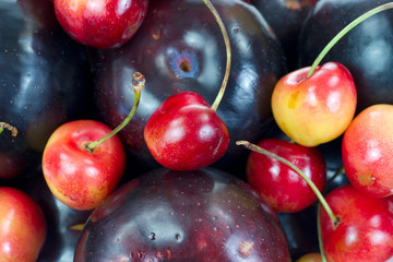 Close view plums and cherries