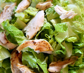 Fresh Chicken Salad - no dressing