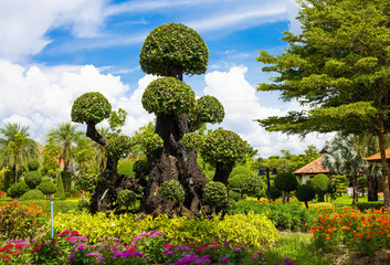 Magnificent tranquil landscape.   Botanical Garden.  Thailand.