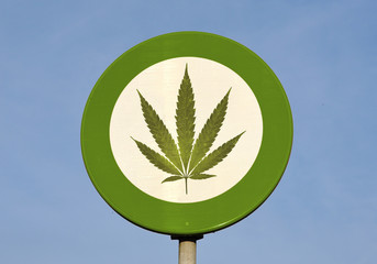 Green and white round reflective sign with canabis leaf