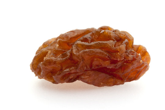 Single Raisin On White