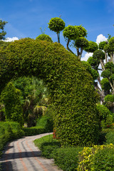 Magnificent tranquil landscape.   Botanical Garden.  Thailand.