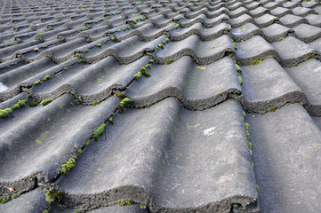 Dark grey tiled roof with moss