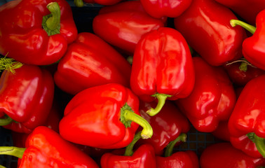 Red peppers in a bunch