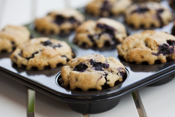Blueberry muffins