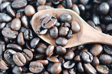 coffee bean