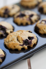 Blueberry muffins