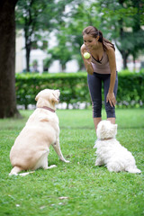 Junge Frau mit hunden