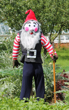 A Scarecrow Dressed as a Gardening Gnome.