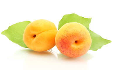 ripe sweet apricots with green leaves isolated on white