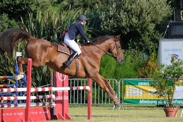 saut d'obstacle en concours