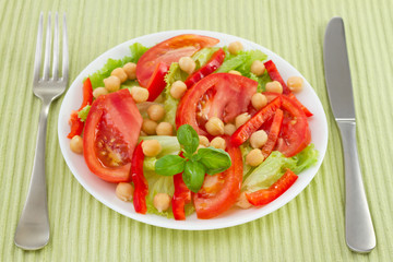 vegetable salad with chickpea on the white plate