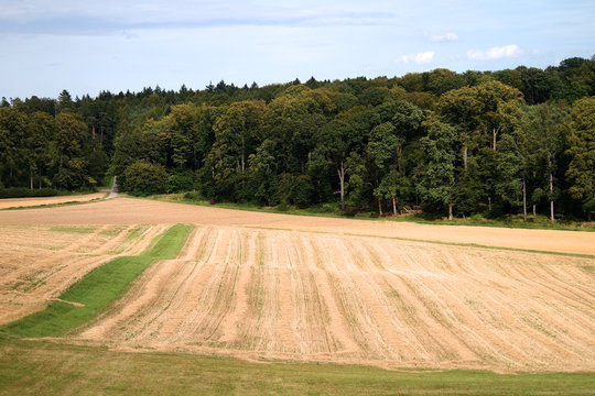 Bodenwellen