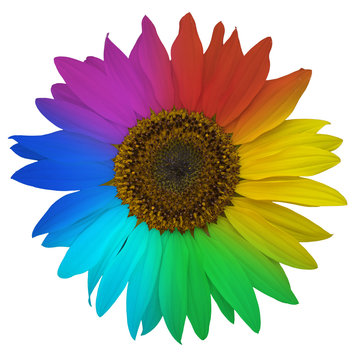 Rainbow Sunflower Images – Browse 3,222 Stock Photos, Vectors, and ...