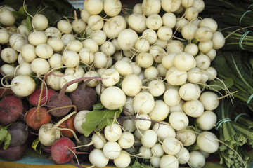 Radishes