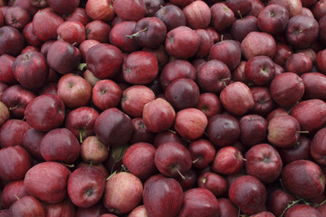 Plums