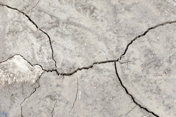 Fototapeta premium Dürre