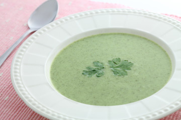 green vegetables soup