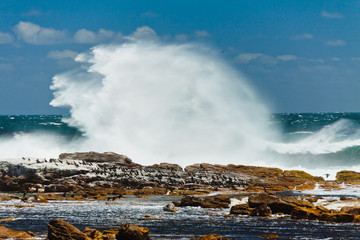 Capo di buona speranza